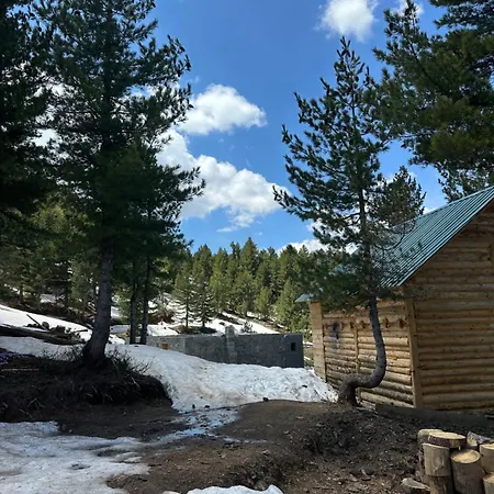 Aleos Campsite