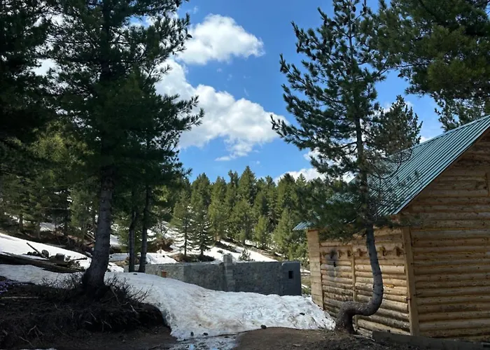 Aleos Campsite